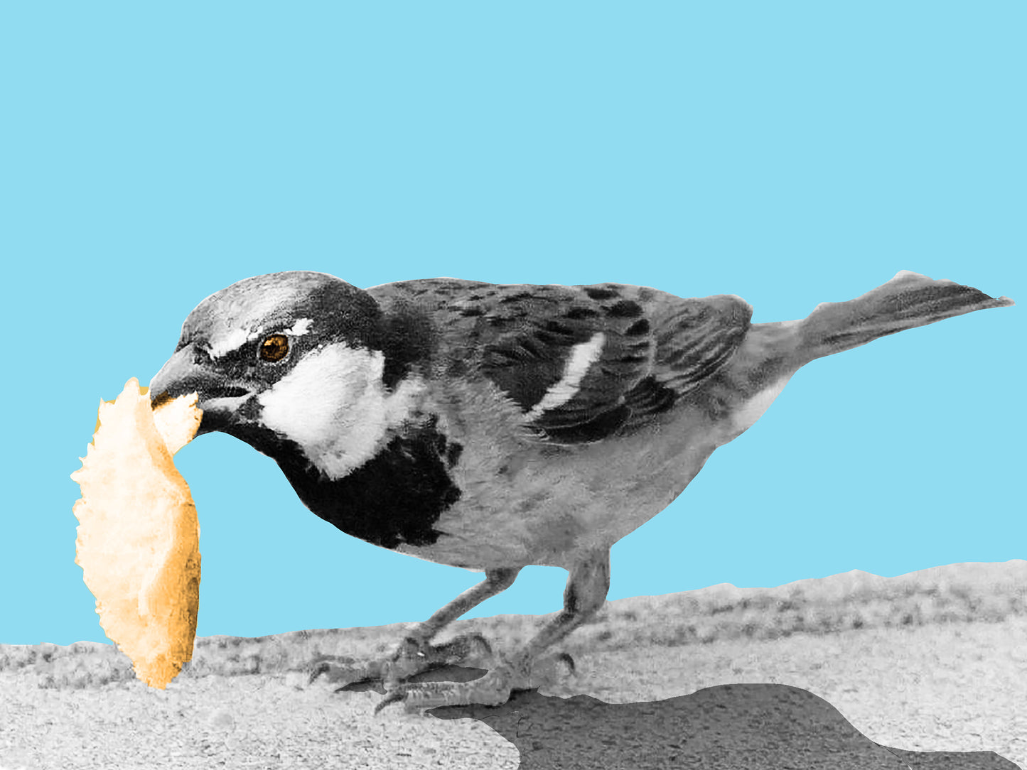 Overlevelse 20 x 15.jpg