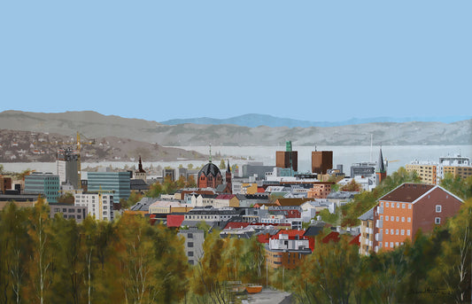  Panorama Oslo til nett 50 x 32.jpg