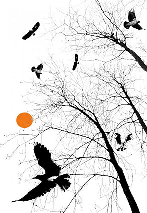 Fugler. nett jpg.jpg